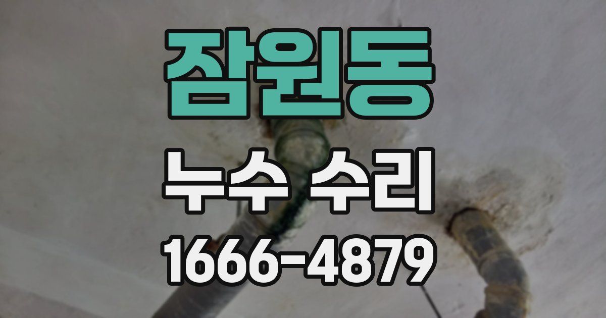 잠원동 누수 수리