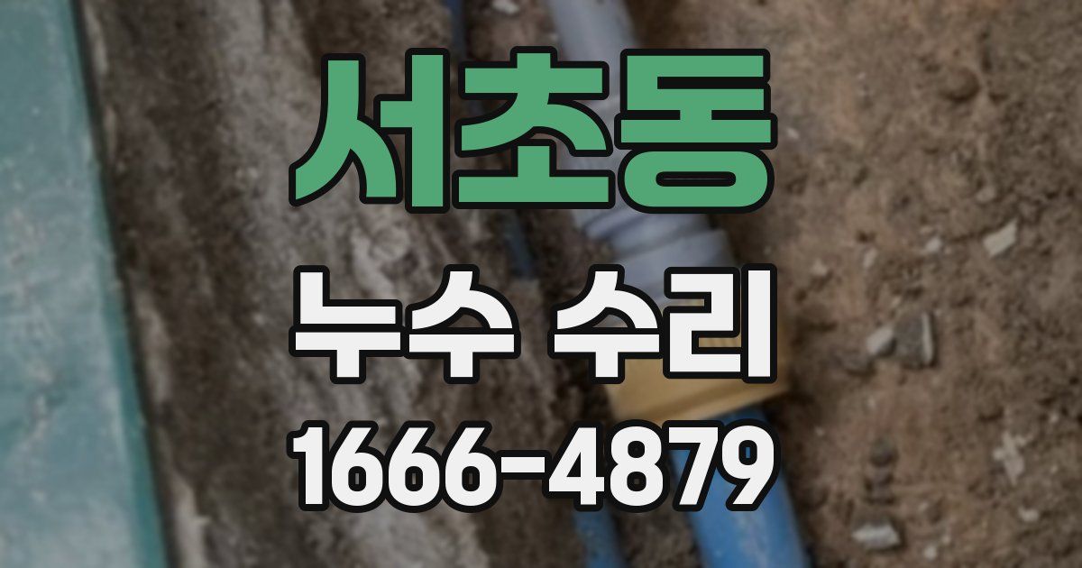 서초동 누수 수리