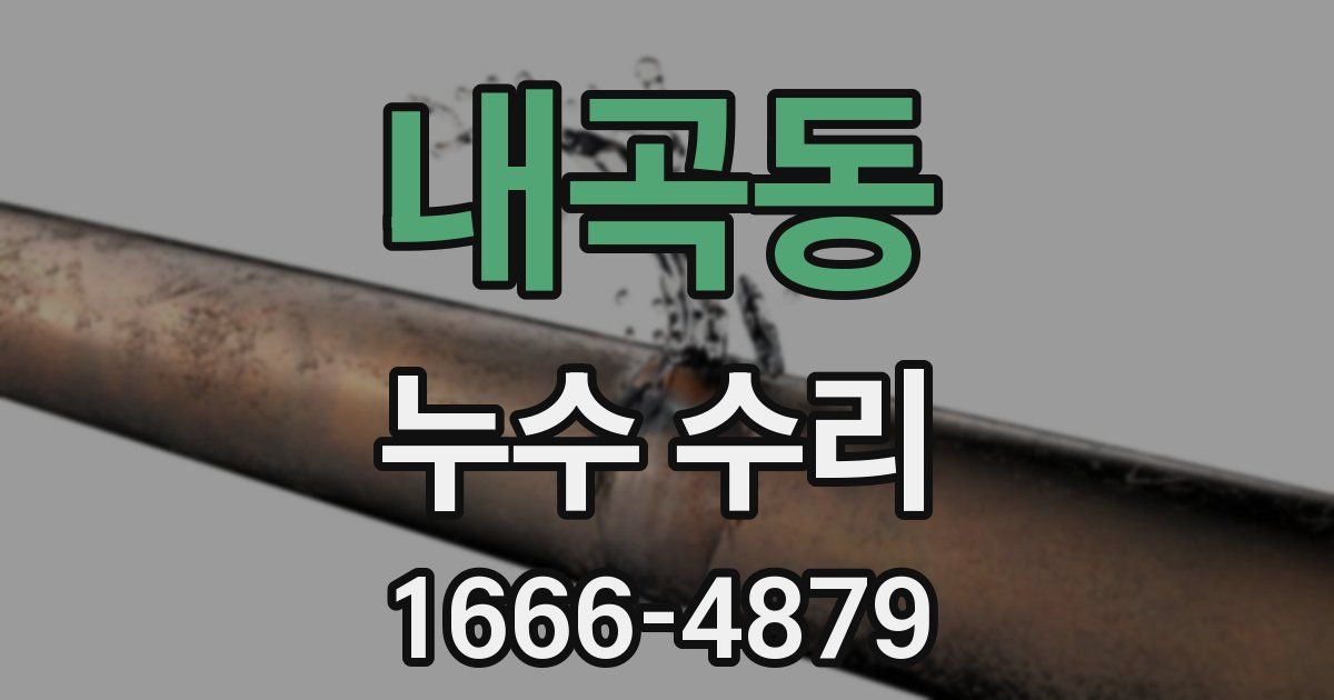 내곡동 누수 수리