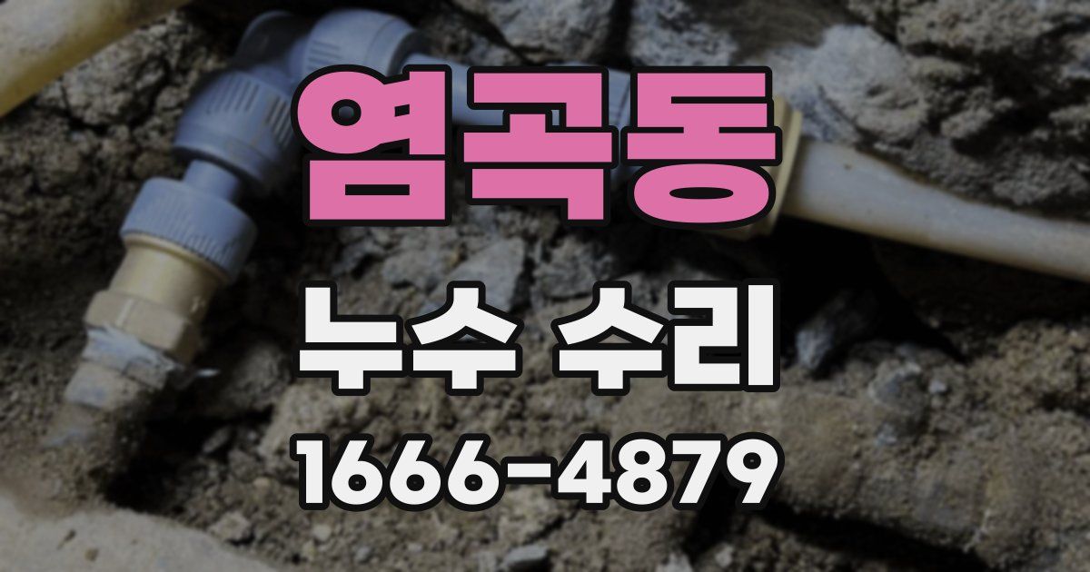 염곡동 누수 수리