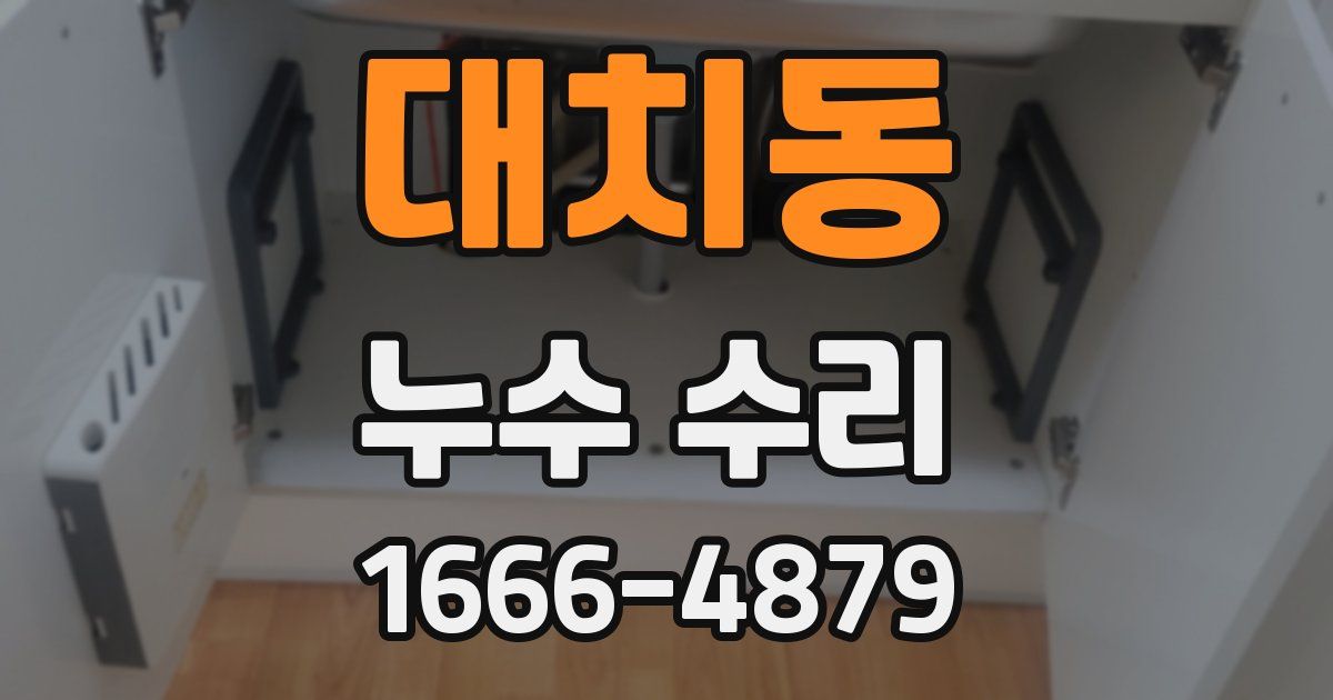 대치동 누수 수리