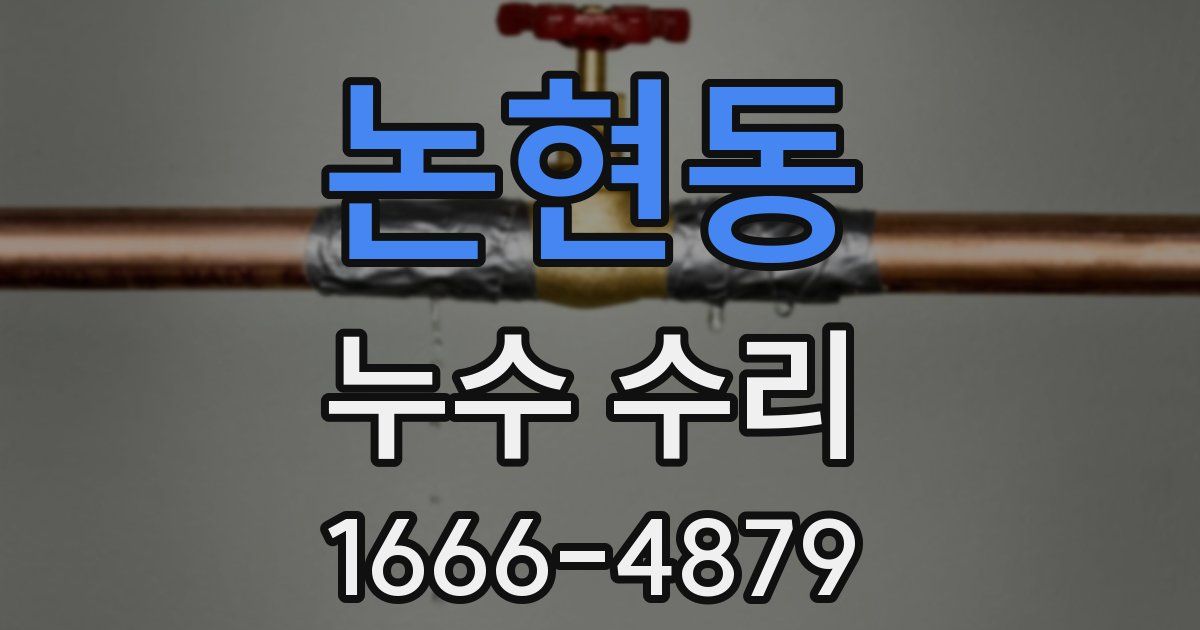 논현동 누수 수리