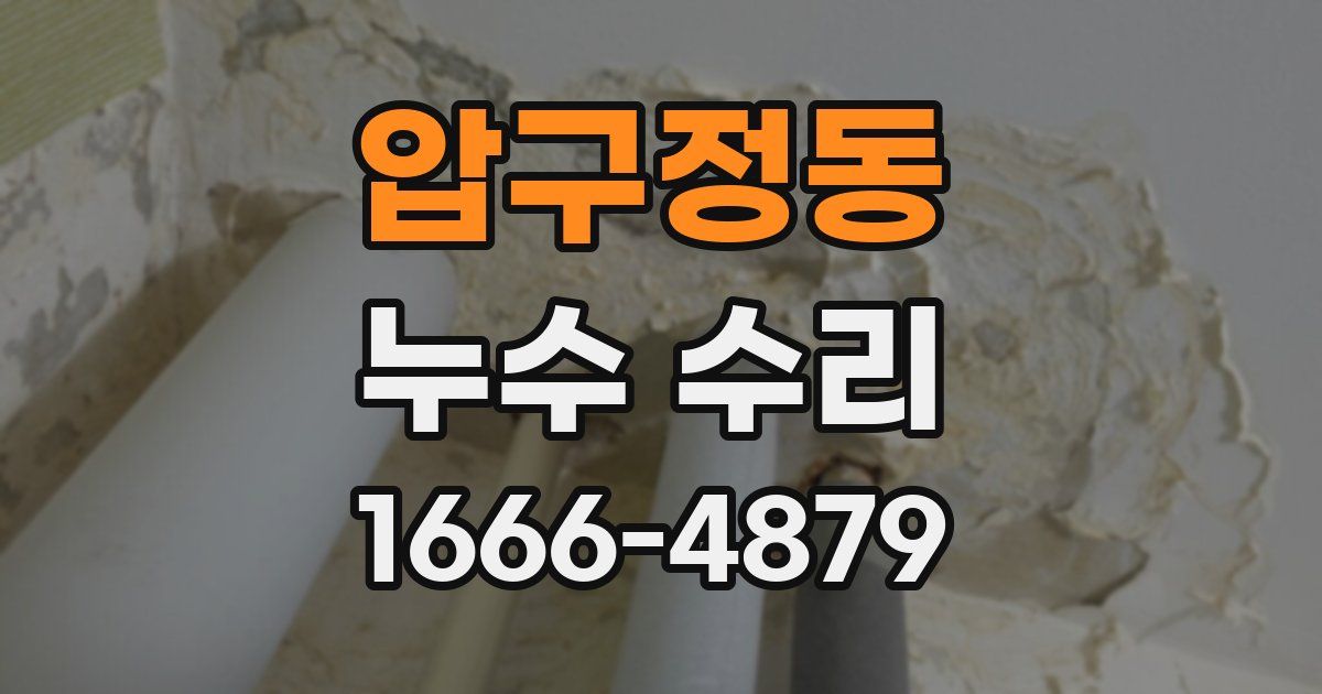 압구정동 누수 수리