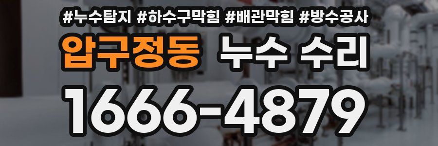 압구정동 누수 수리