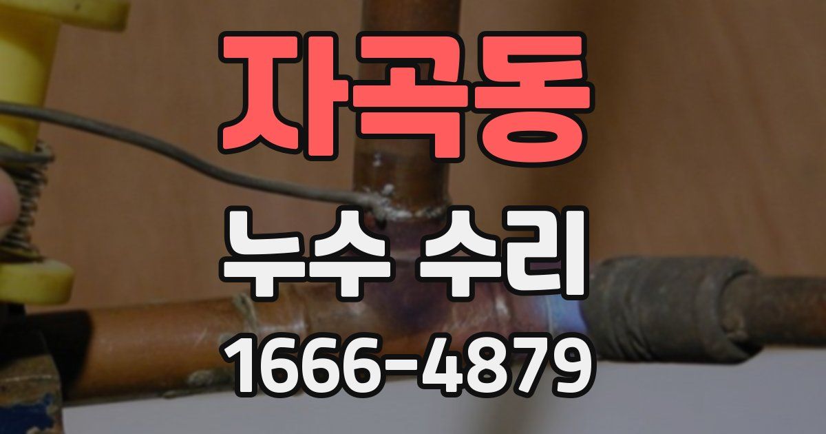 자곡동 누수 수리