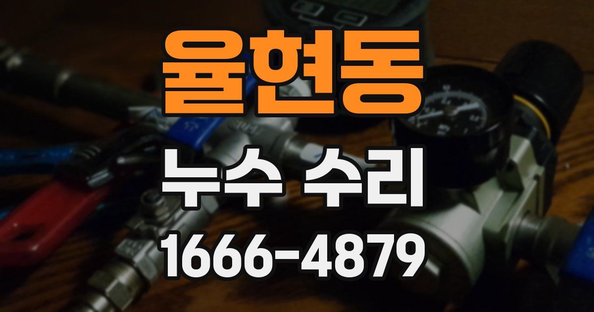율현동 누수 수리