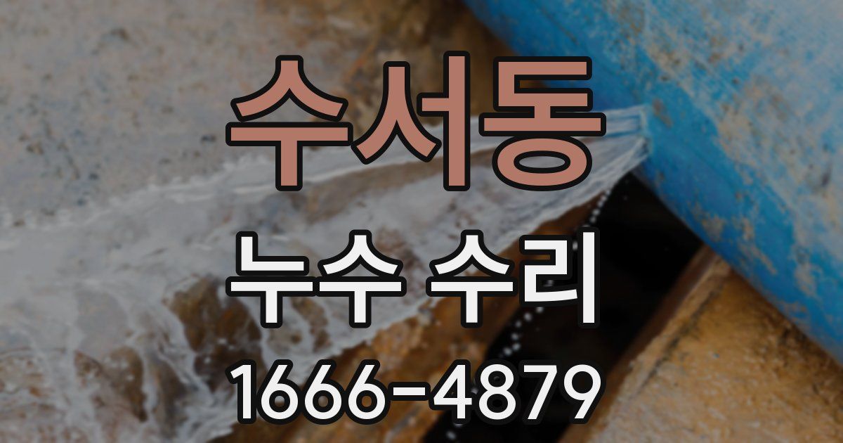 수서동 누수 수리