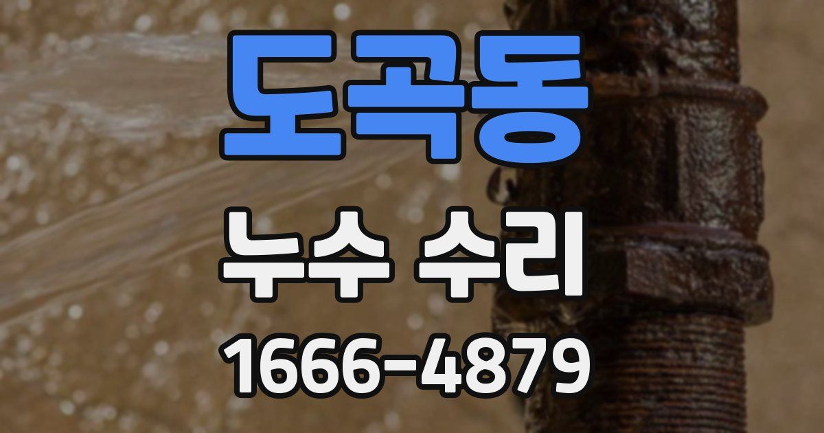 도곡동 누수 수리