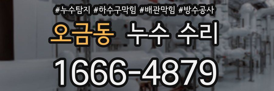 오금동 누수 수리