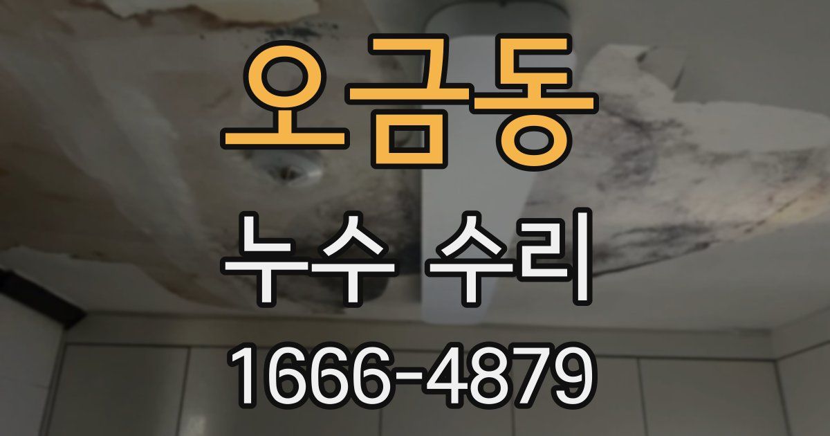 오금동 누수 수리