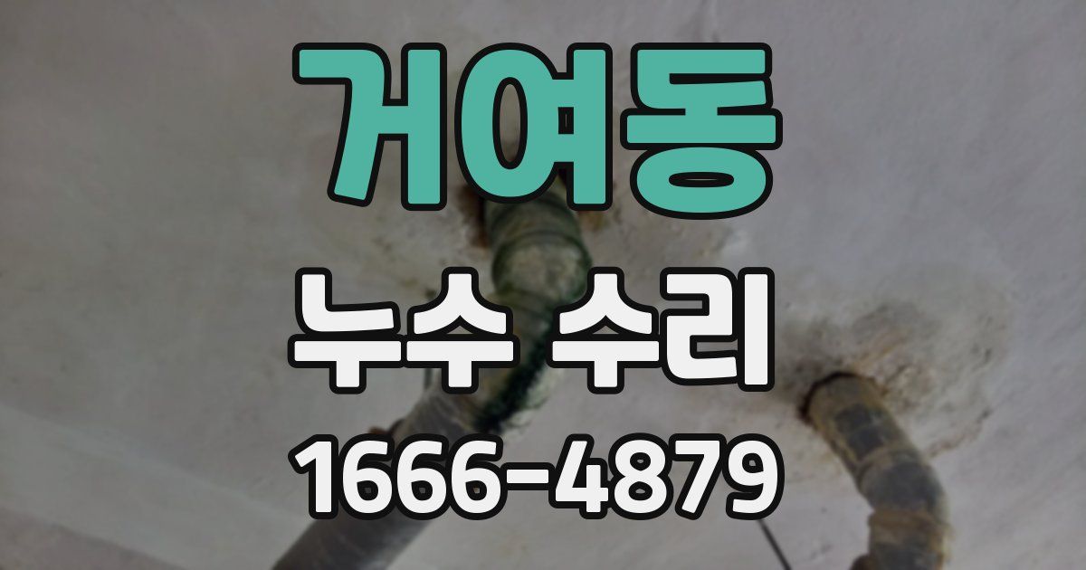 거여동 누수 수리