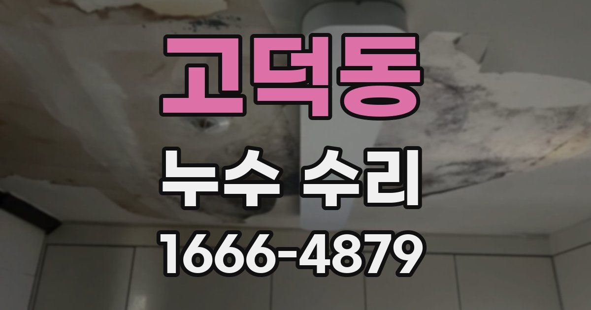 고덕동 누수 수리