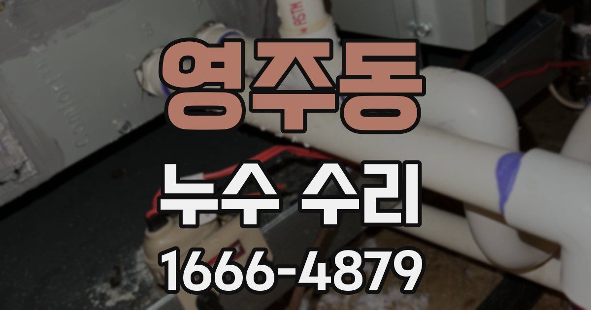 영주동 누수 수리
