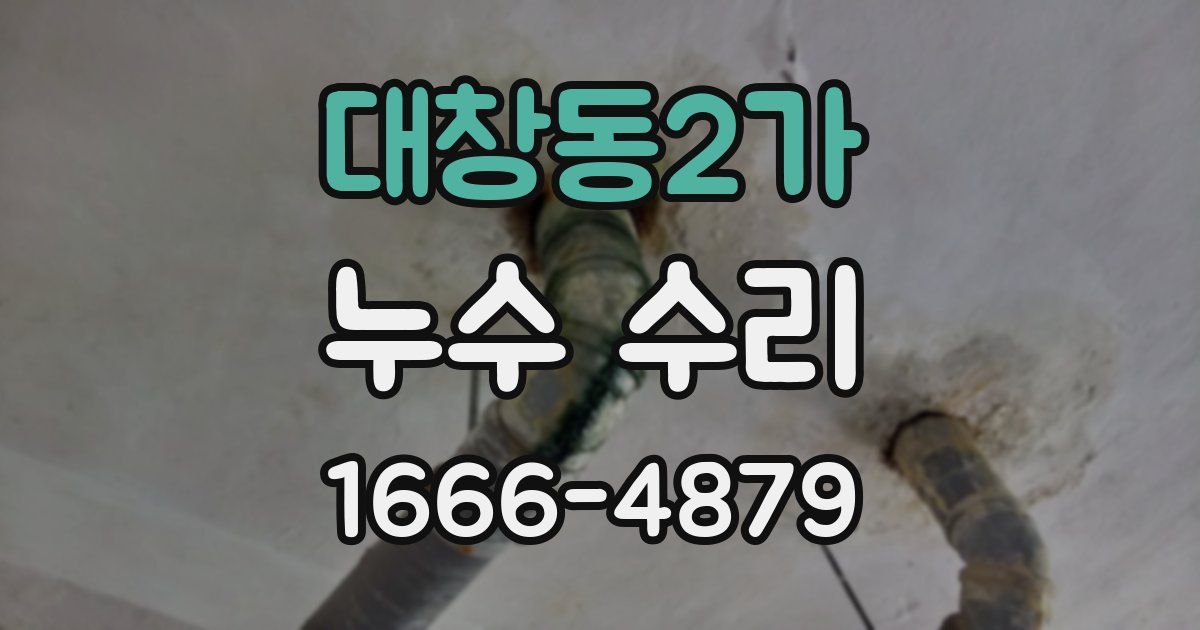 대창동2가 누수 수리