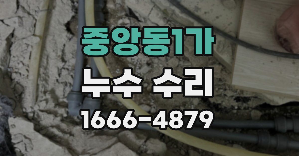 중앙동1가 누수 수리