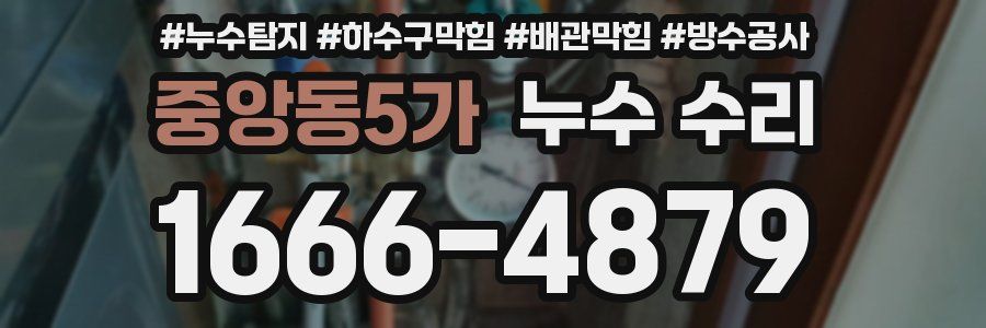 중앙동5가 누수 수리