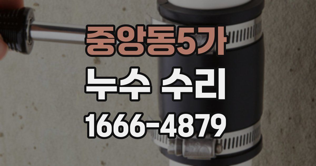 중앙동5가 누수 수리