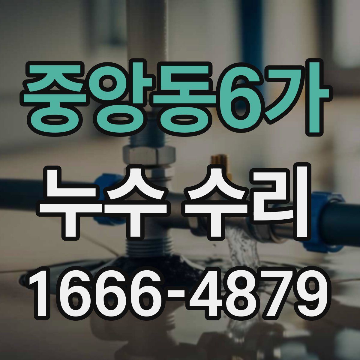 중앙동6가 누수 수리