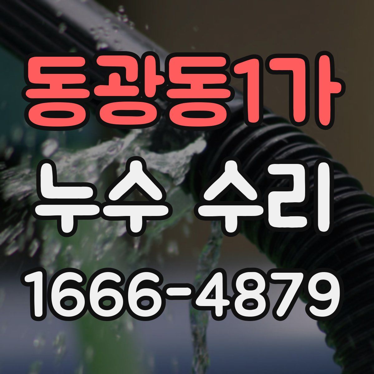 동광동1가 누수 수리