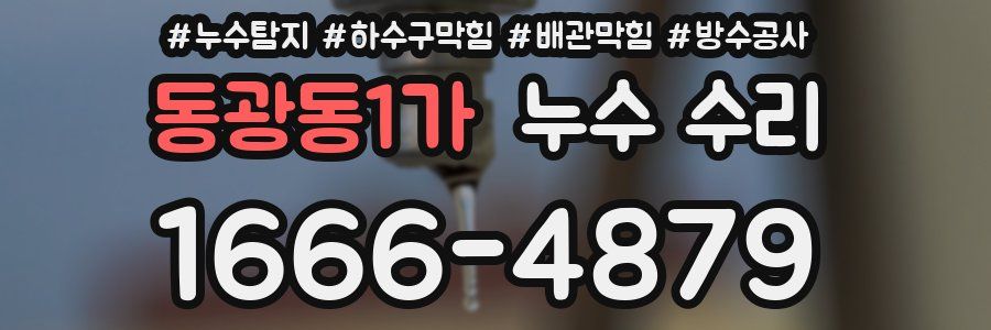 동광동1가 누수 수리