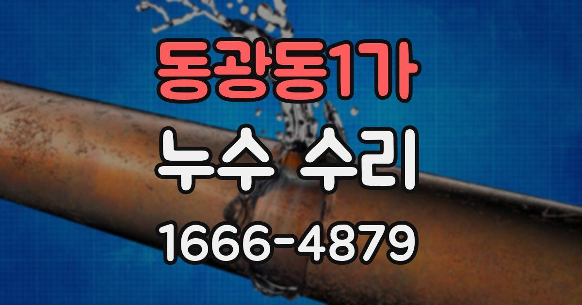 동광동1가 누수 수리