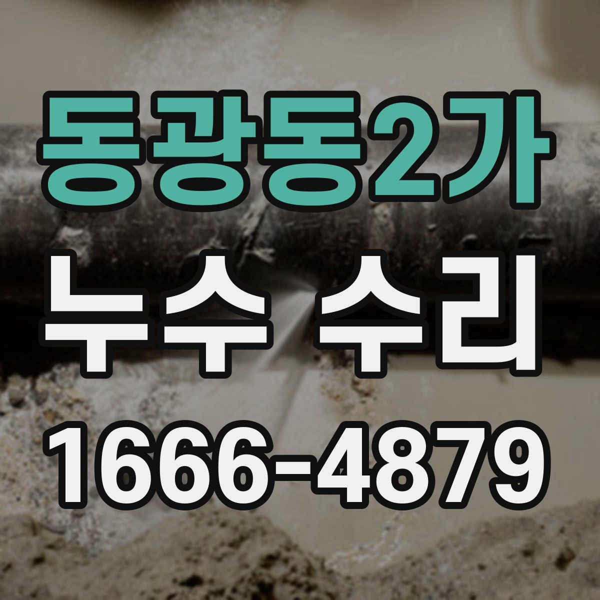 동광동2가 누수 수리