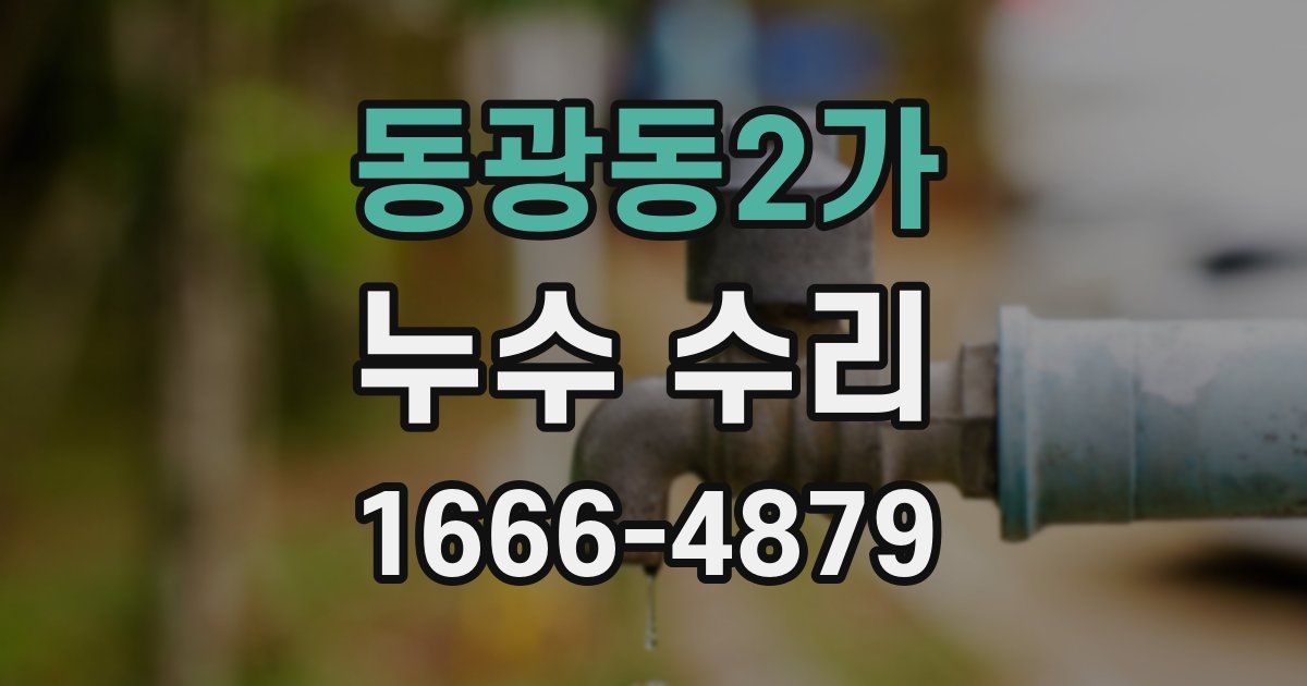 동광동2가 누수 수리