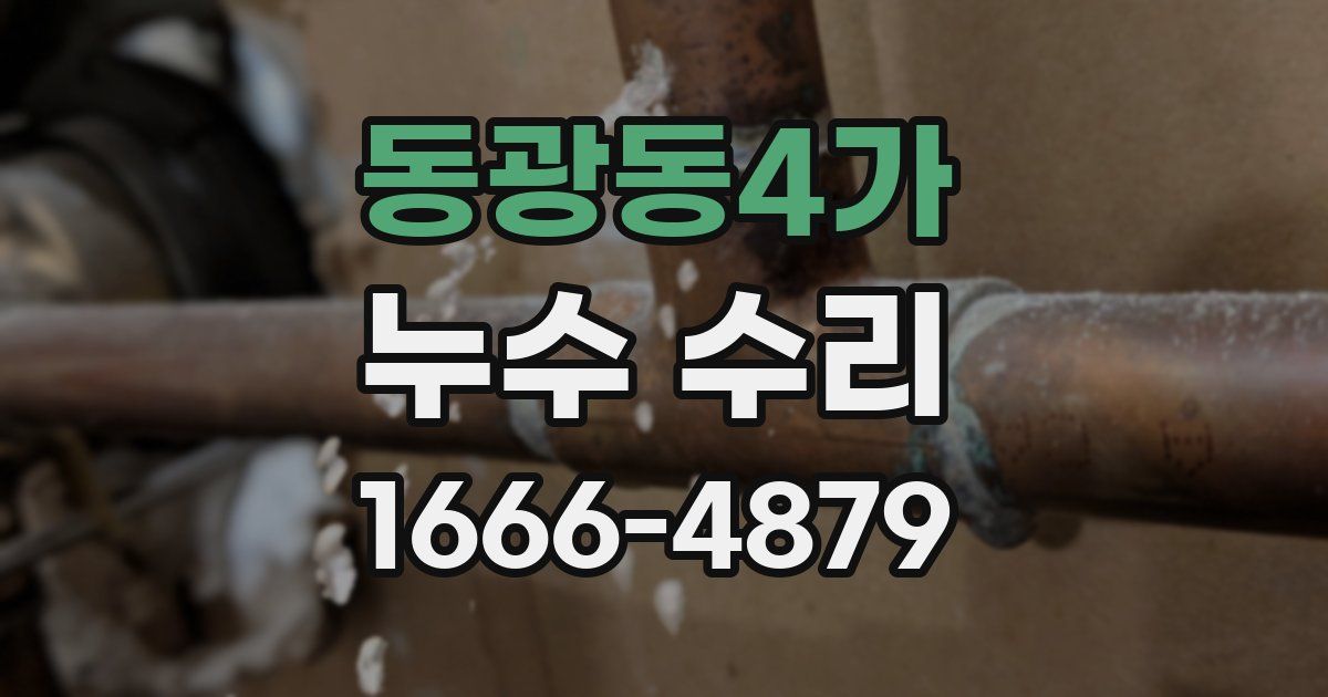 동광동4가 누수 수리