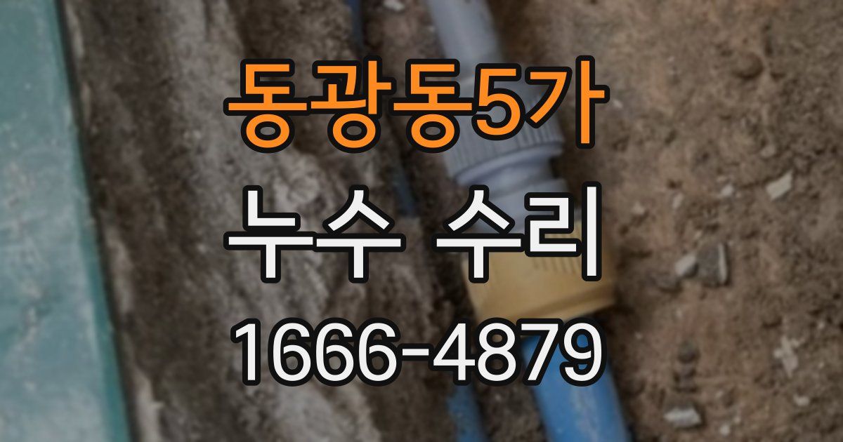 동광동5가 누수 수리