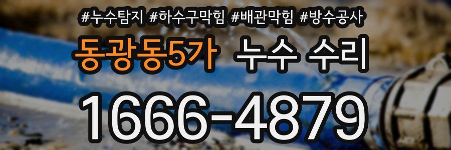 동광동5가 누수 수리