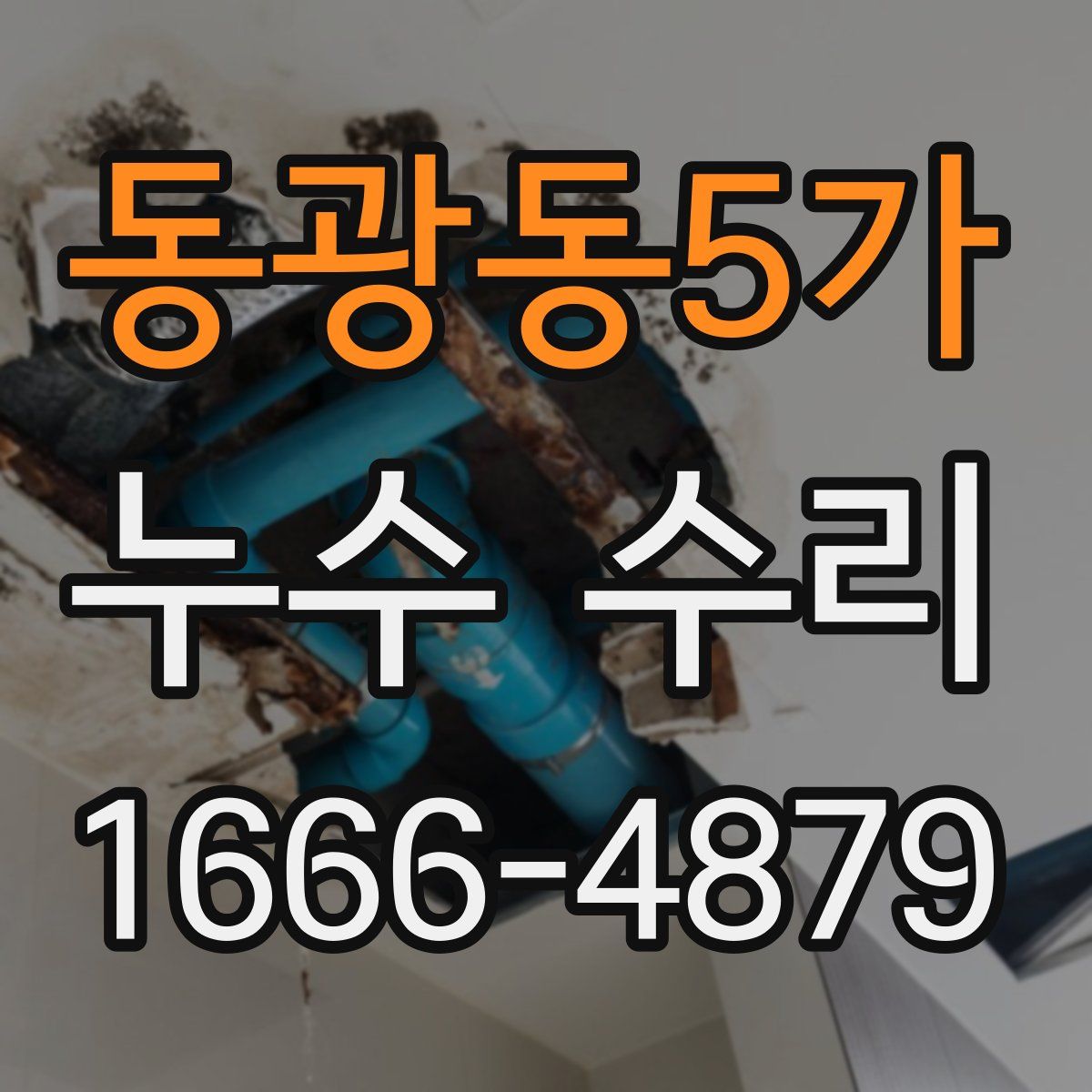 동광동5가 누수 수리
