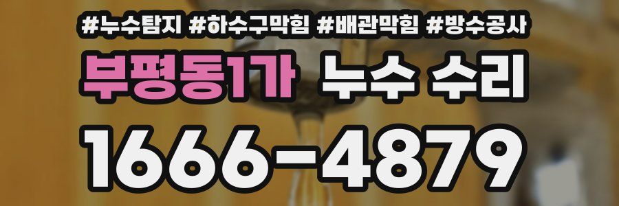 부평동1가 누수 수리