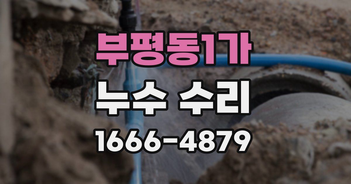부평동1가 누수 수리