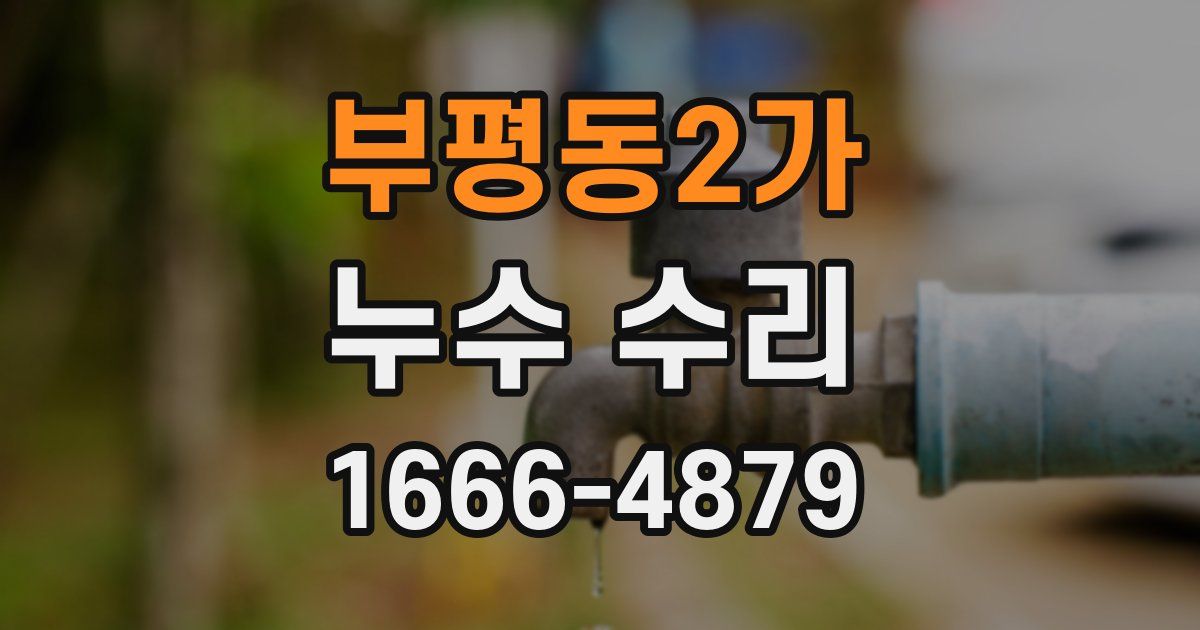부평동2가 누수 수리