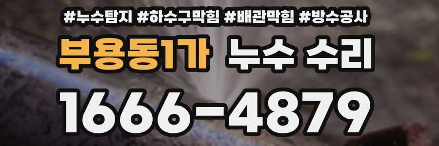 부용동1가 누수 수리