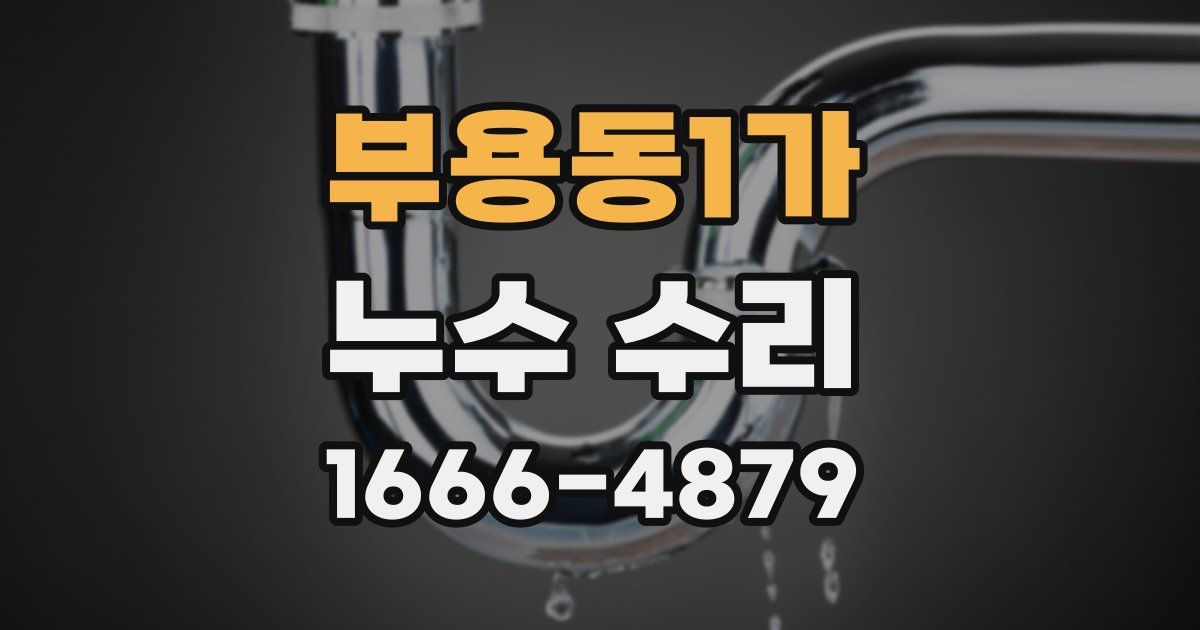부용동1가 누수 수리