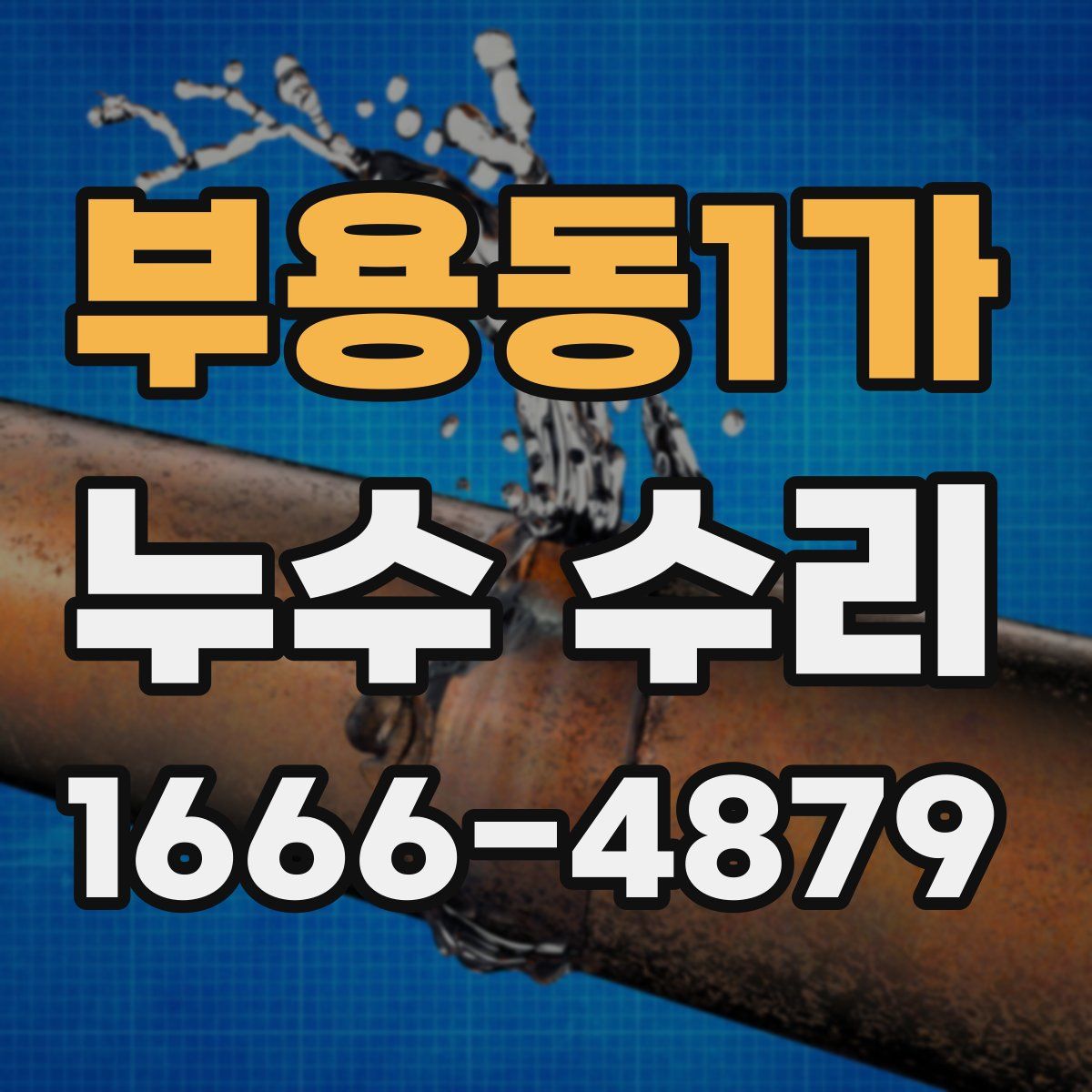 부용동1가 누수 수리