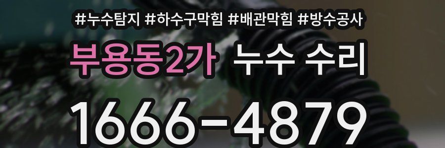 부용동2가 누수 수리