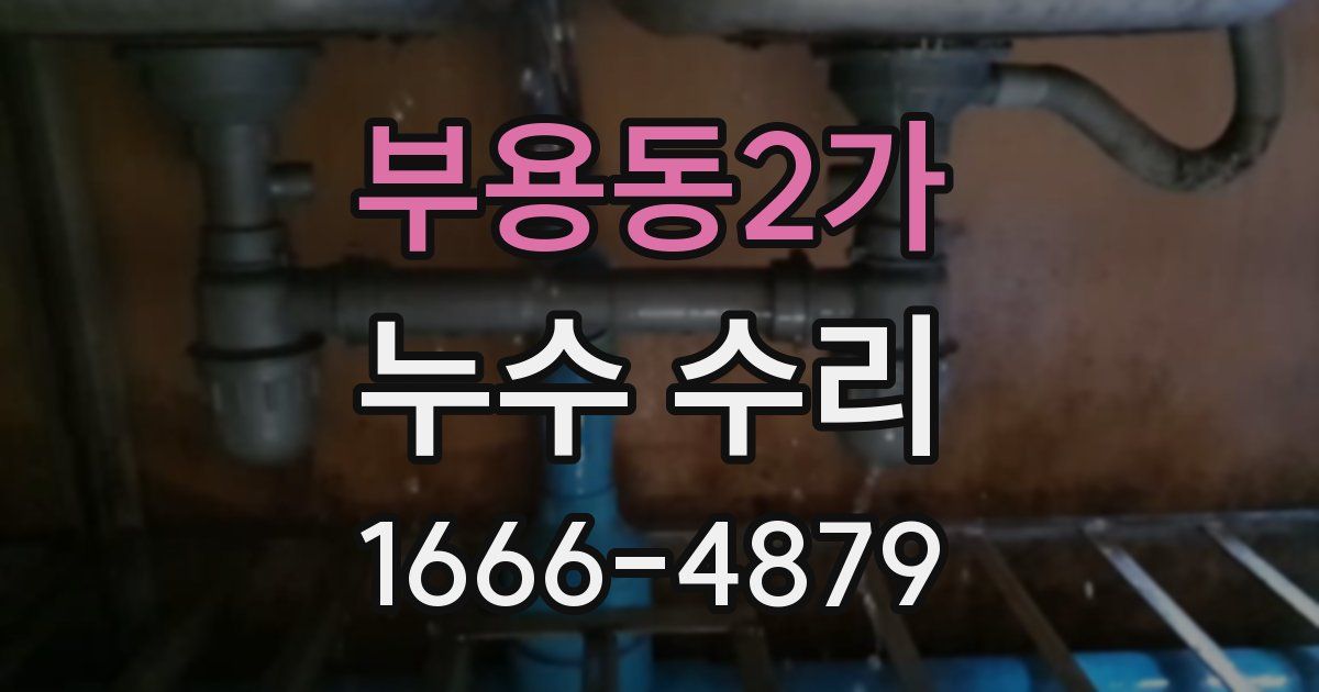 부용동2가 누수 수리