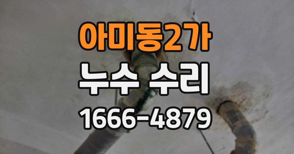 아미동2가 누수 수리
