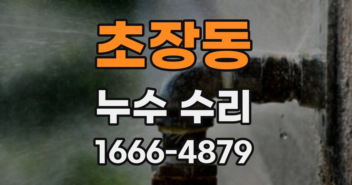 초장동 누수 수리