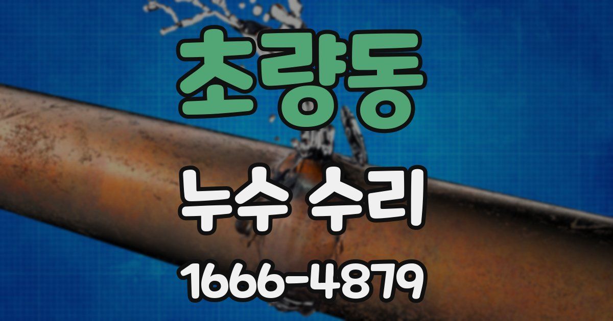 초량동 누수 수리