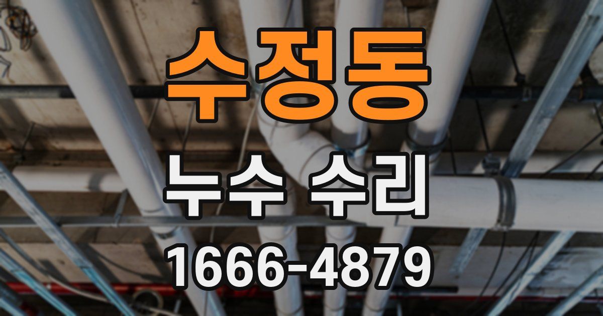 수정동 누수 수리