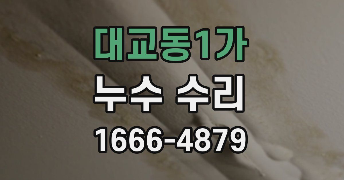 대교동1가 누수 수리