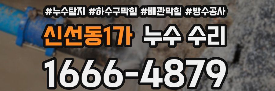 신선동1가 누수 수리