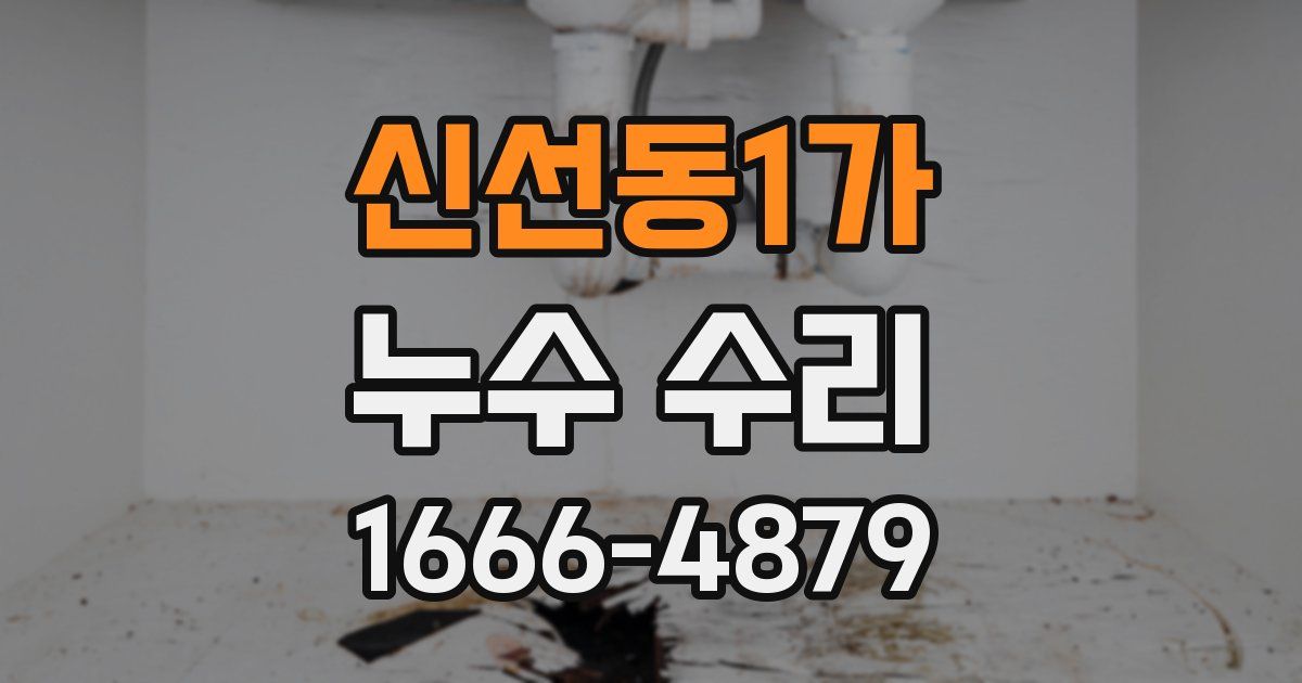 신선동1가 누수 수리