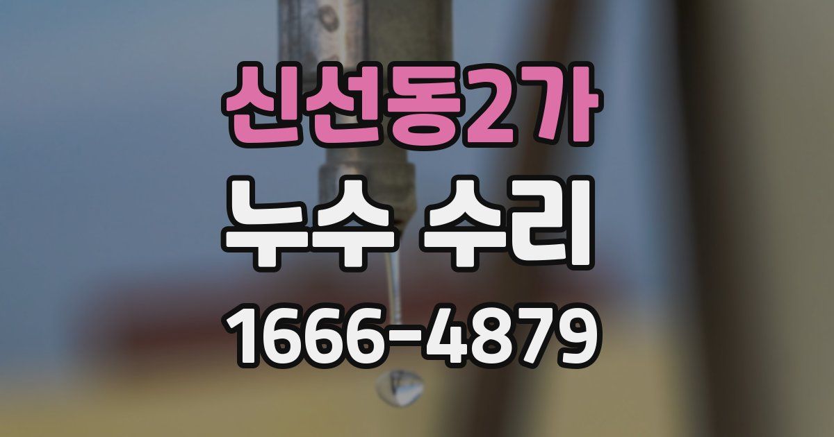 신선동2가 누수 수리