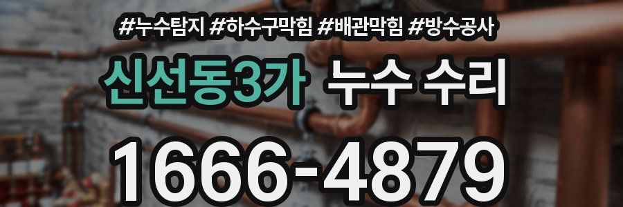 신선동3가 누수 수리