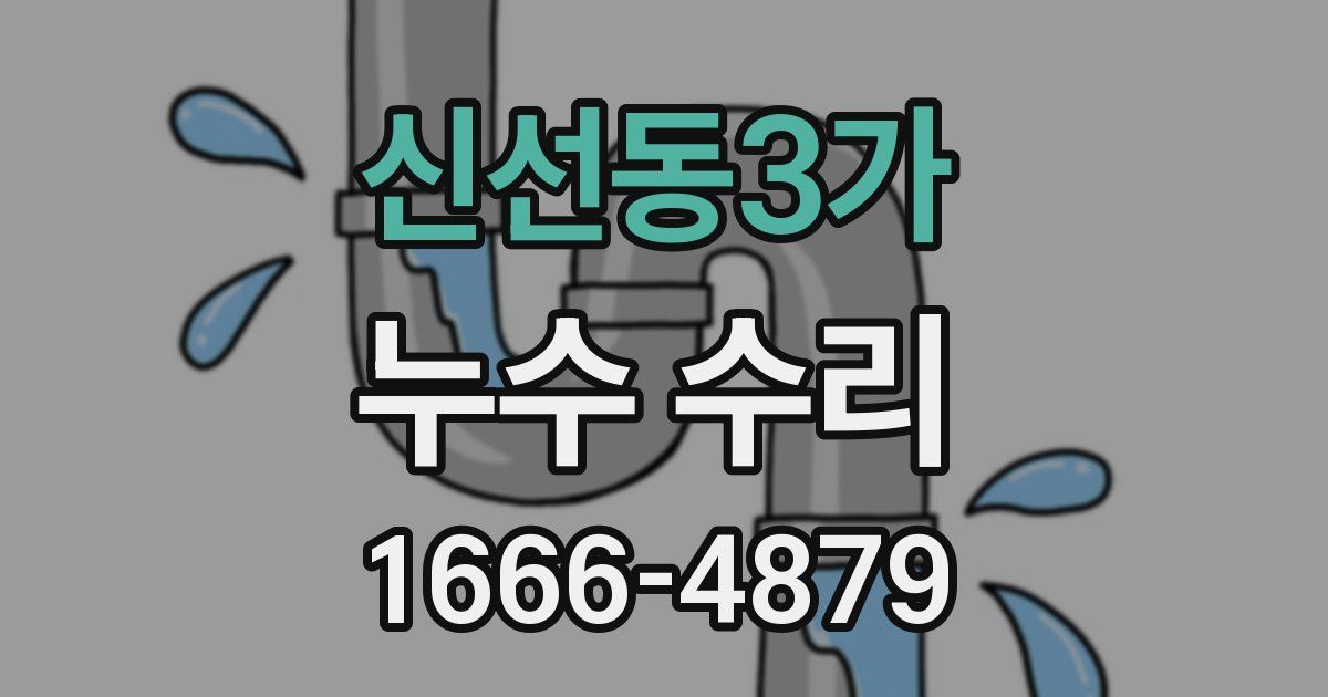 신선동3가 누수 수리