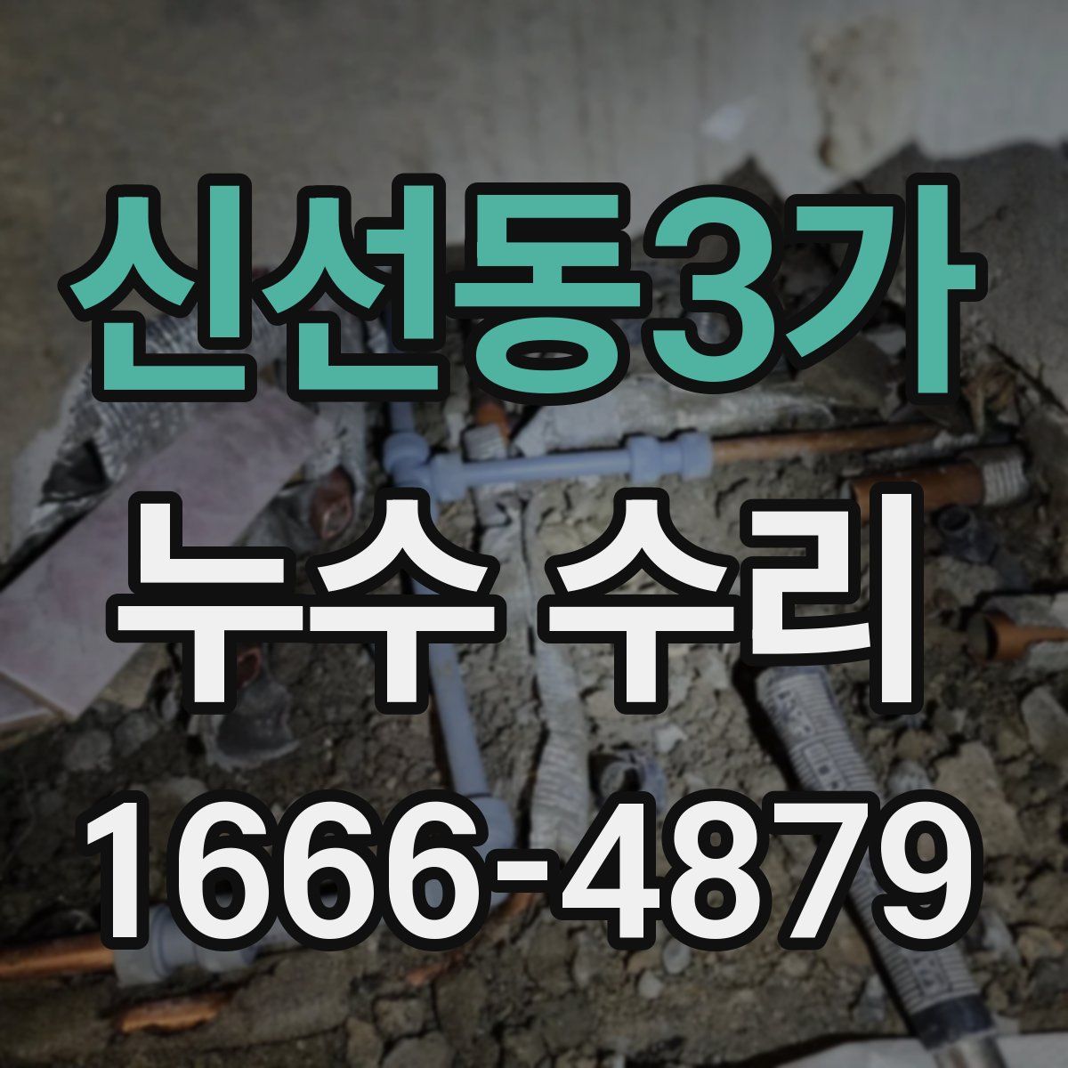 신선동3가 누수 수리